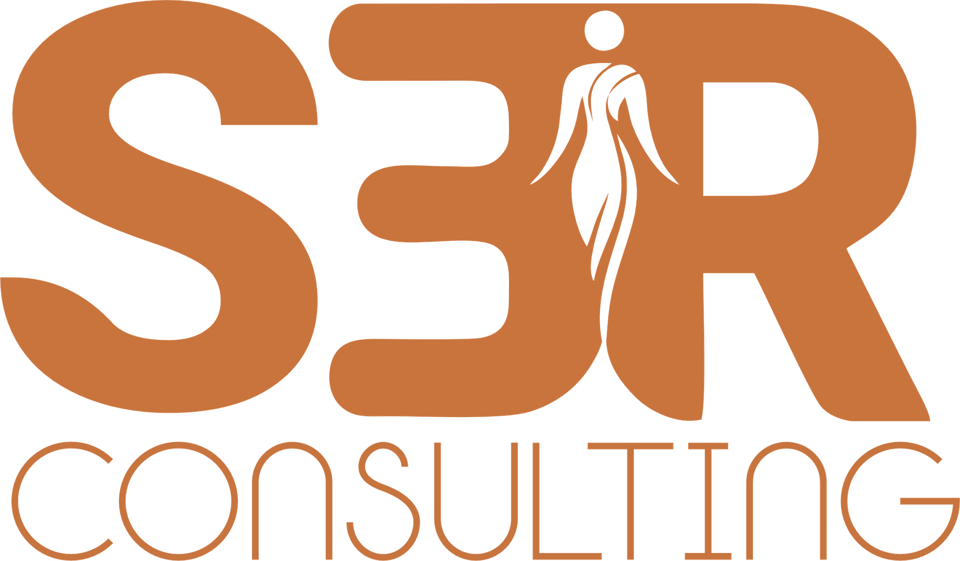 SER Consulting